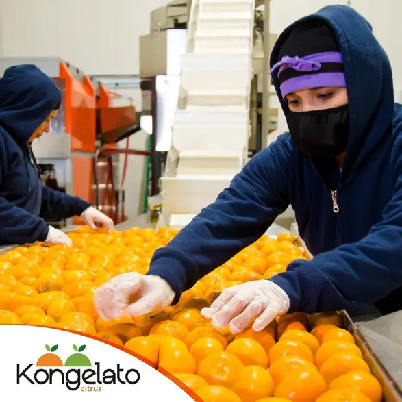 kg worker sorting